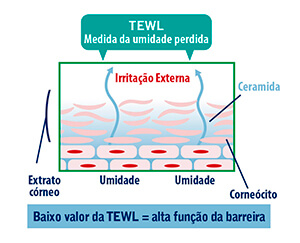 TEWL - O que é e como tratar